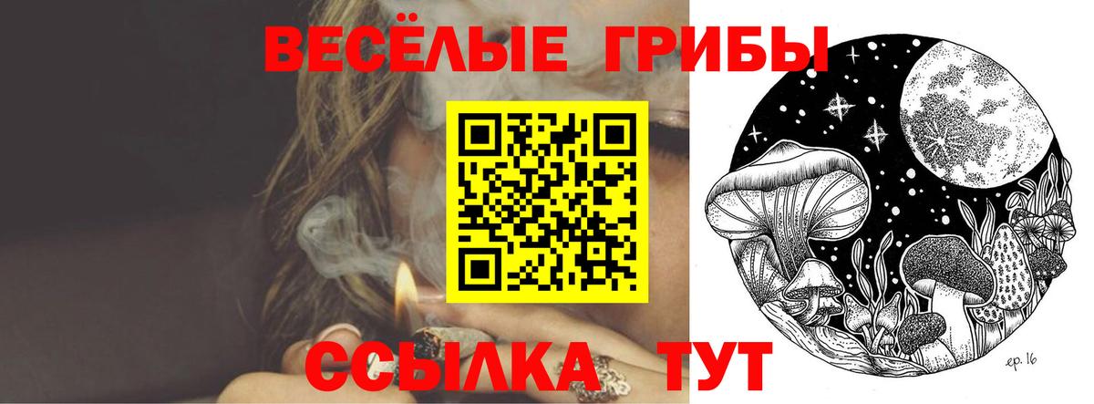 Галлюциногенные грибы прущие грибы  Псилоцибиновые грибы GOLDEN TEACHER  Вход с VPN  Кудымкар 